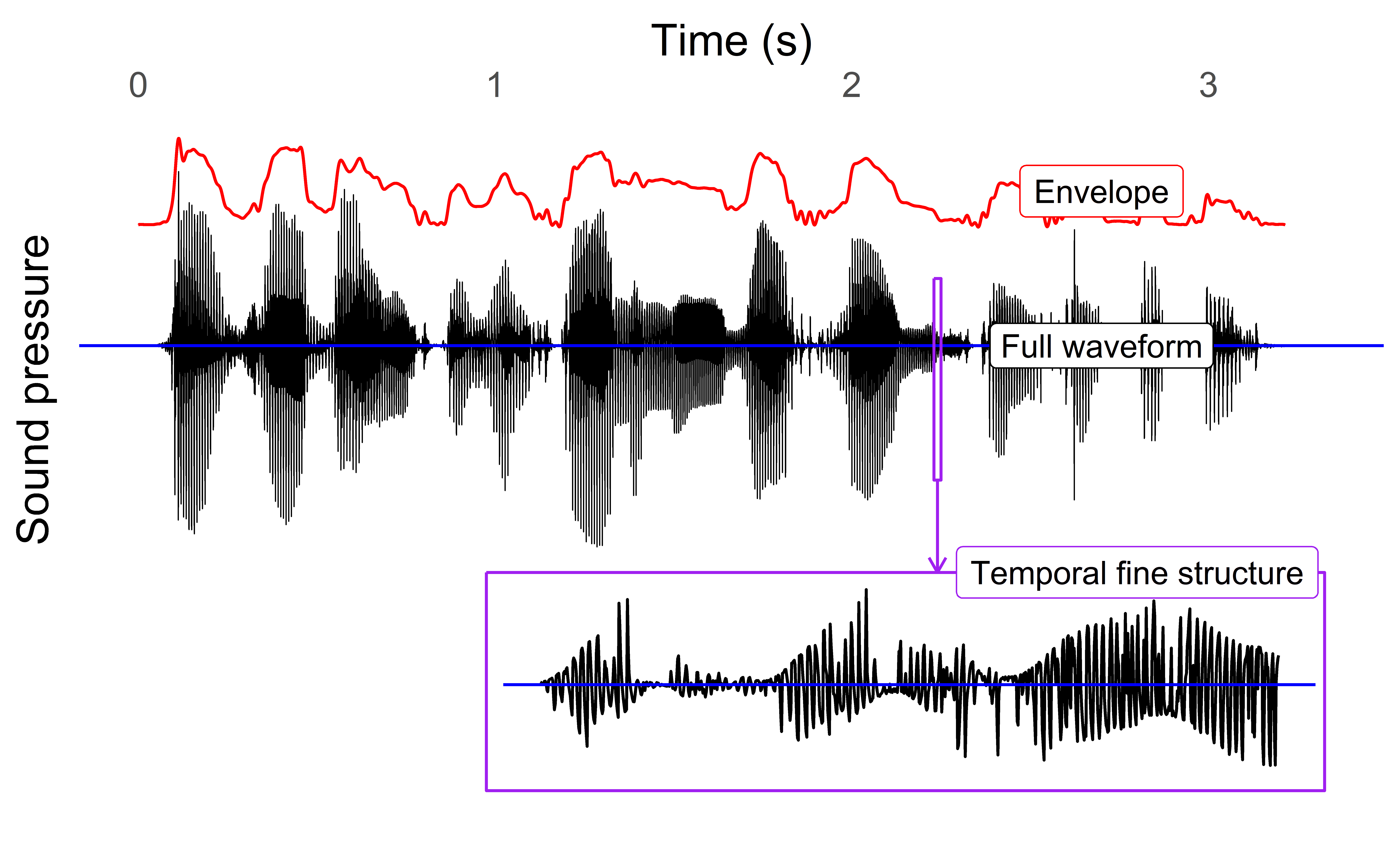 temporal cues