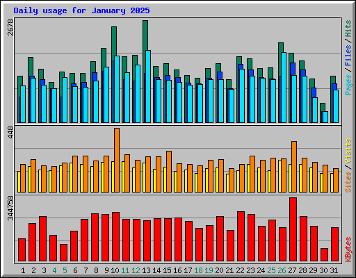 Daily usage for January 2025