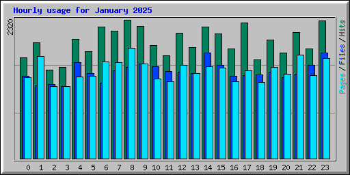 Hourly usage for January 2025