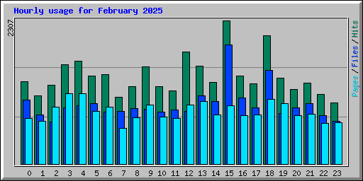 Hourly usage for February 2025
