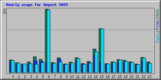 Hourly usage for August 2025