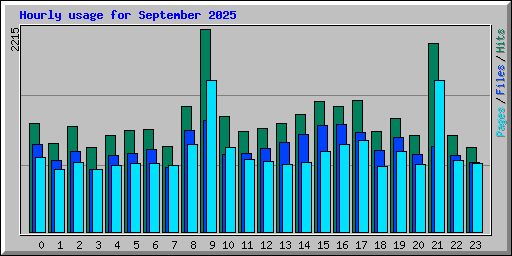 Hourly usage for September 2025