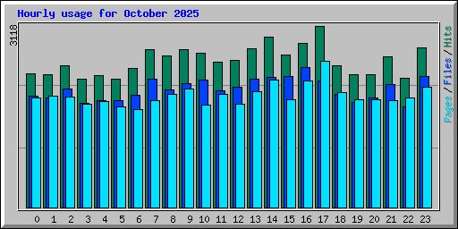Hourly usage for October 2025
