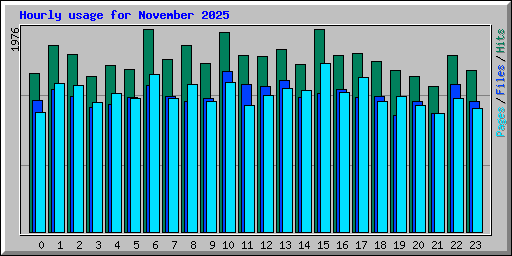 Hourly usage for November 2025