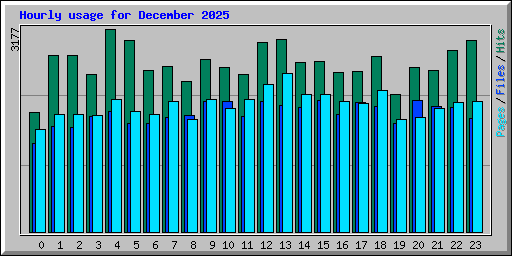 Hourly usage for December 2025