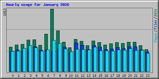 Hourly usage for January 2026