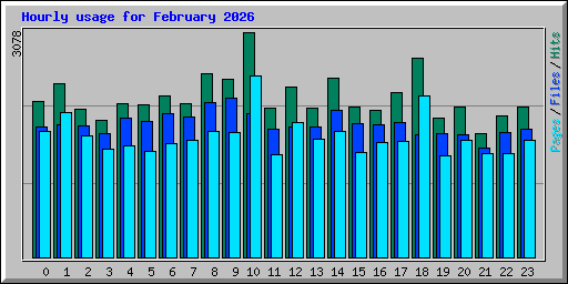 Hourly usage for February 2026